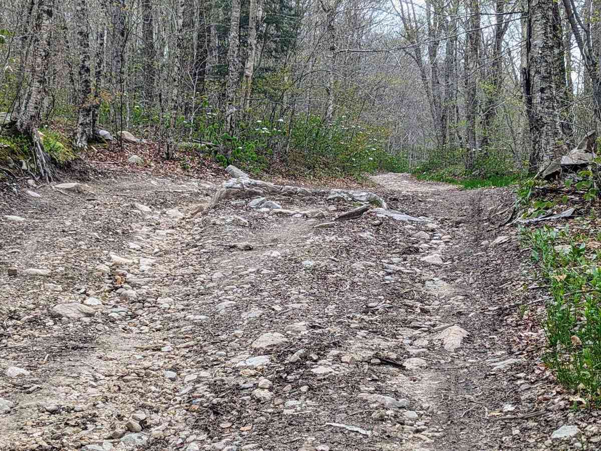 County Road photo 6