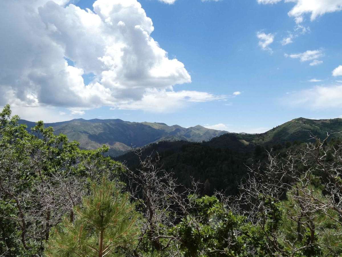 Parsons - FSR108 trail photo