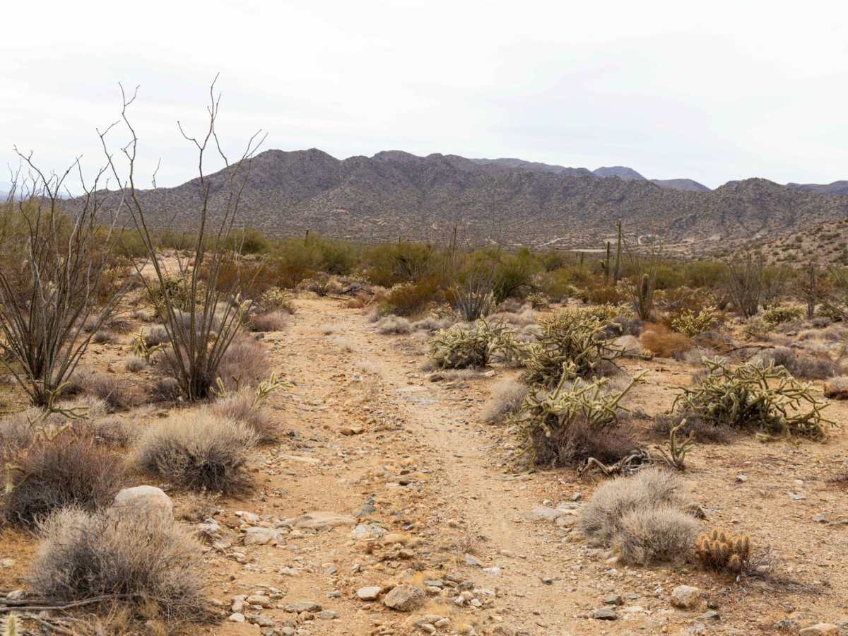 Wilderness Spur photo 4
