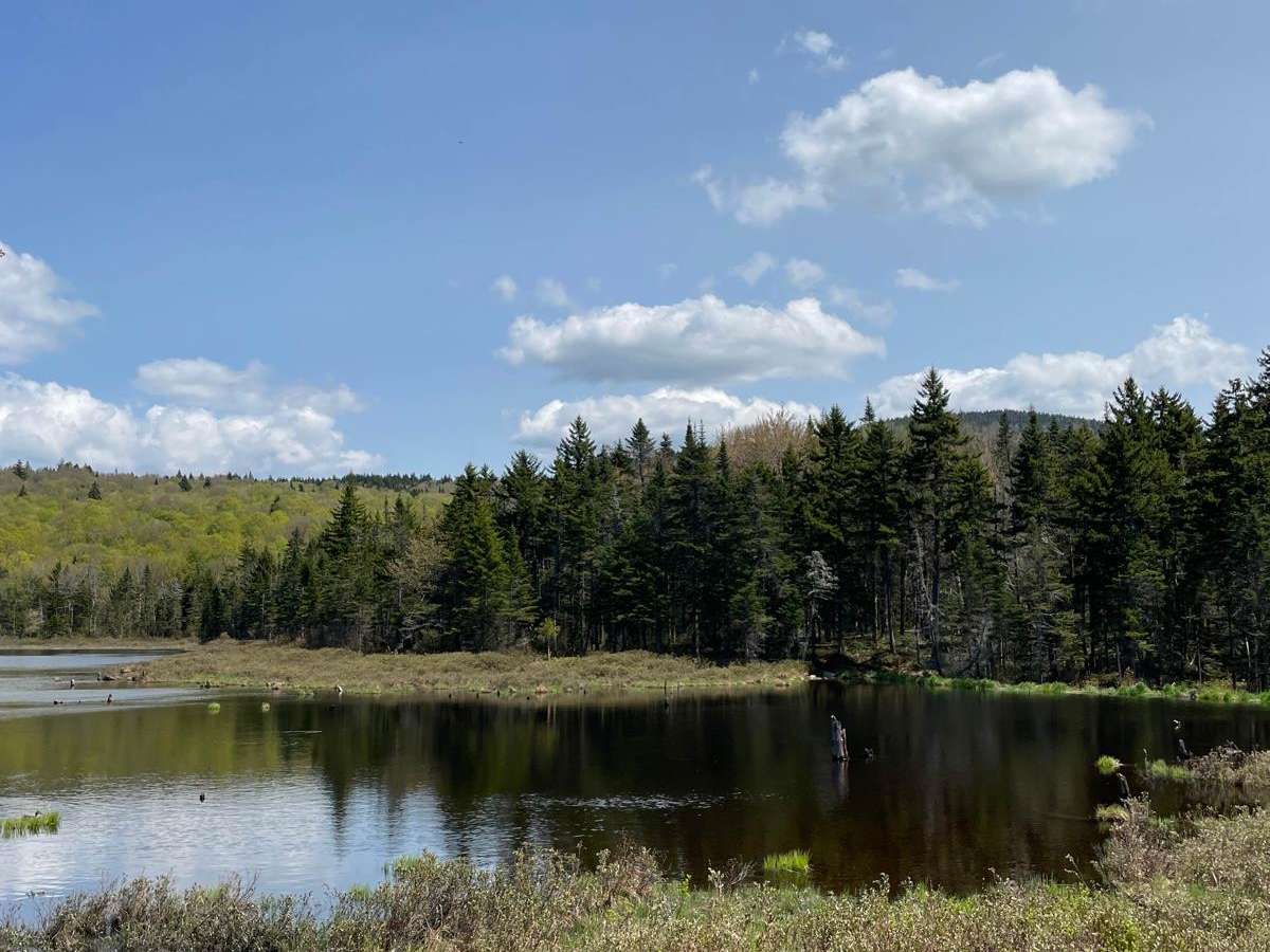 New Colony - Orange Road trail photo