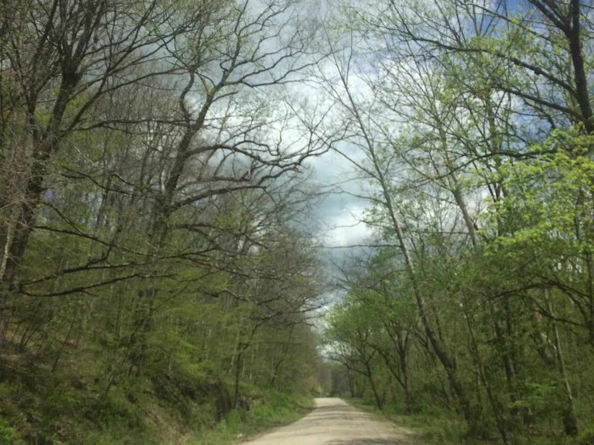 Bethel photo 5