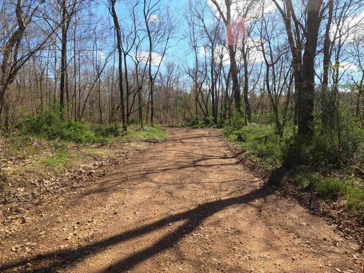 Grisham Road photo 4
