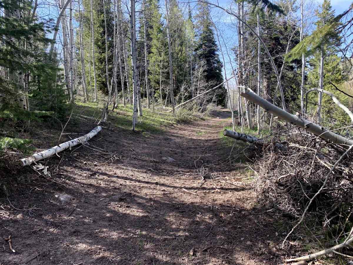 Wahlstrom Fork photo 4