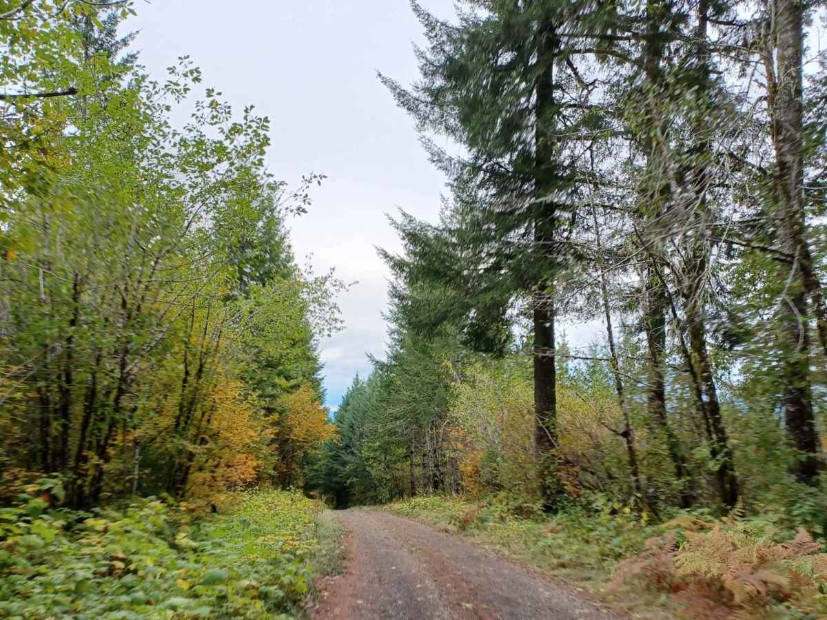 Little Hebo Access photo 6