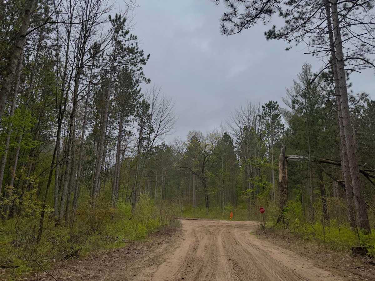 Wellston Newaygo SMT 3 photo 6