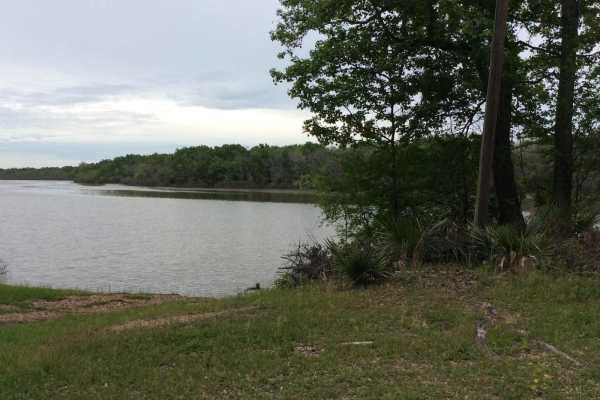 Dewey Wills Wildlife Management Area (WMA) Cross Trail