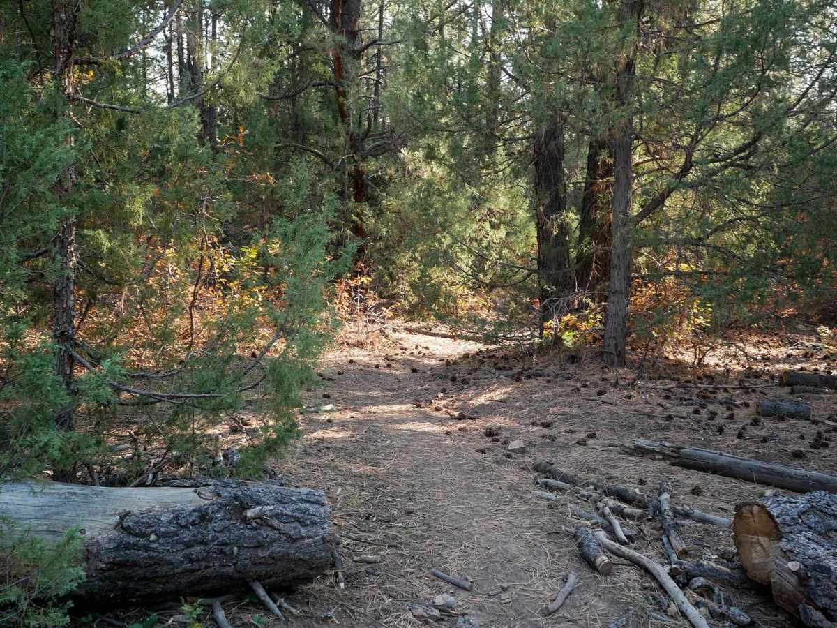 Naturita Rim trail photo