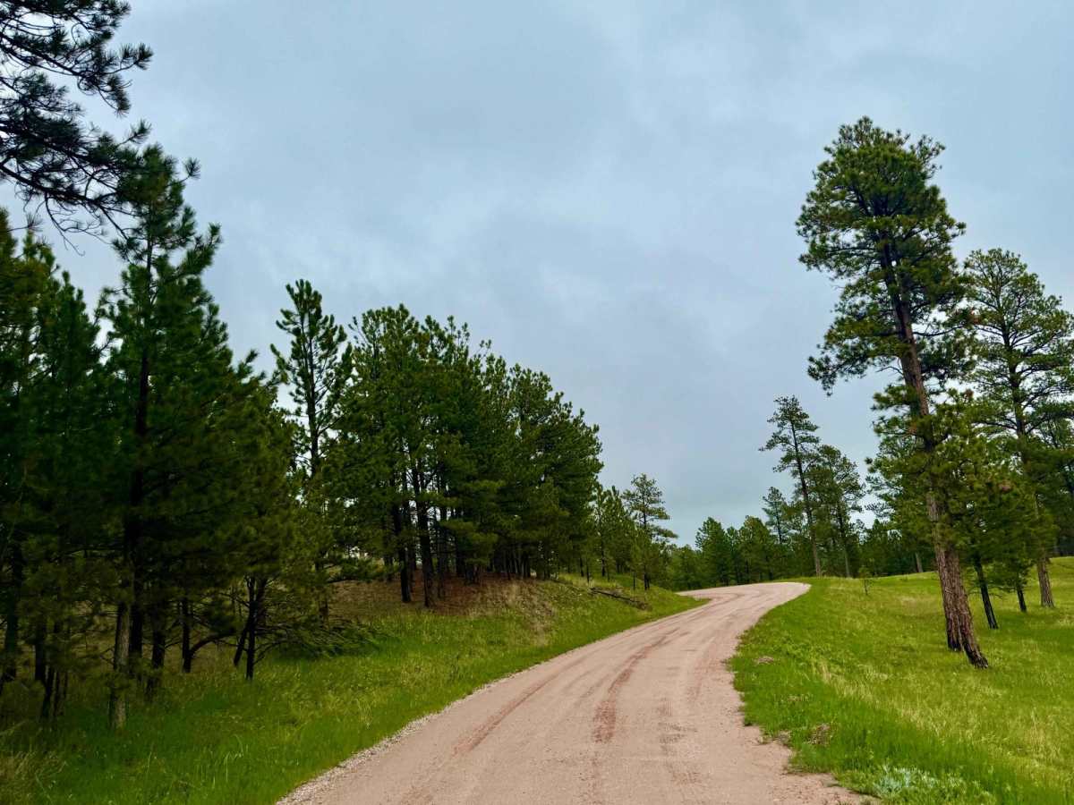 Antelope Ridge Road photo 5