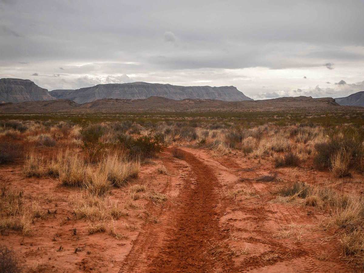 Access Single Track photo 3