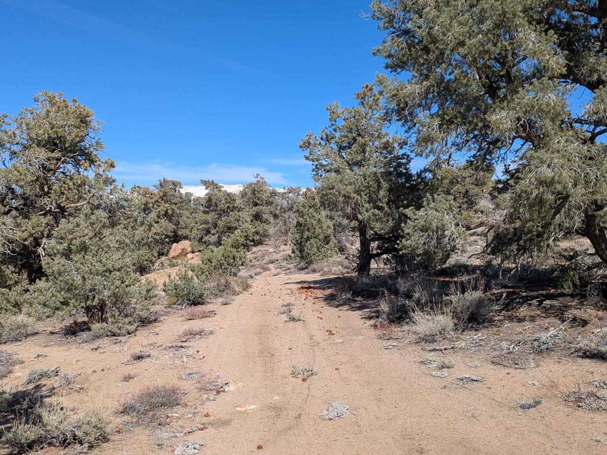Casa Diablo Mountain FS S134 trail photo