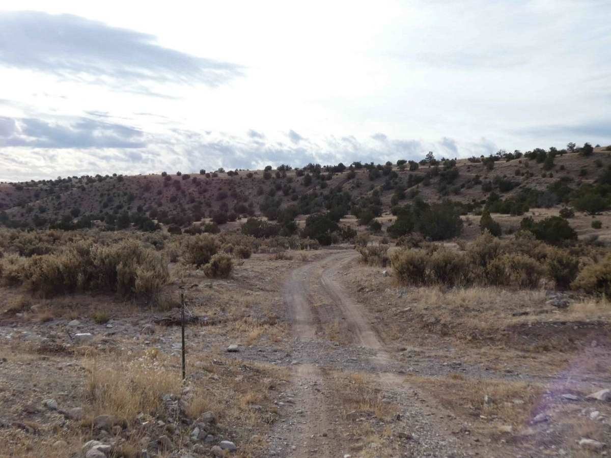 Old Spanish Trail photo 4
