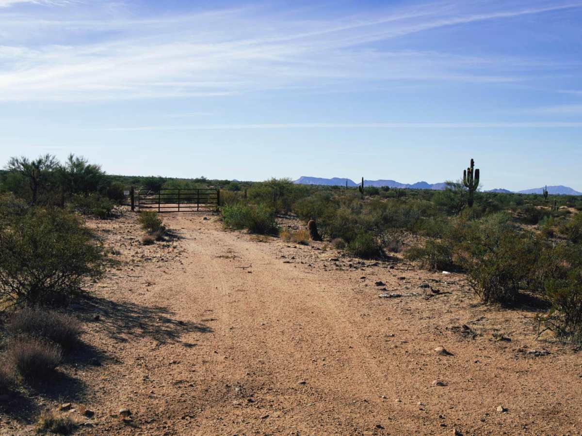 P1664 trail photo