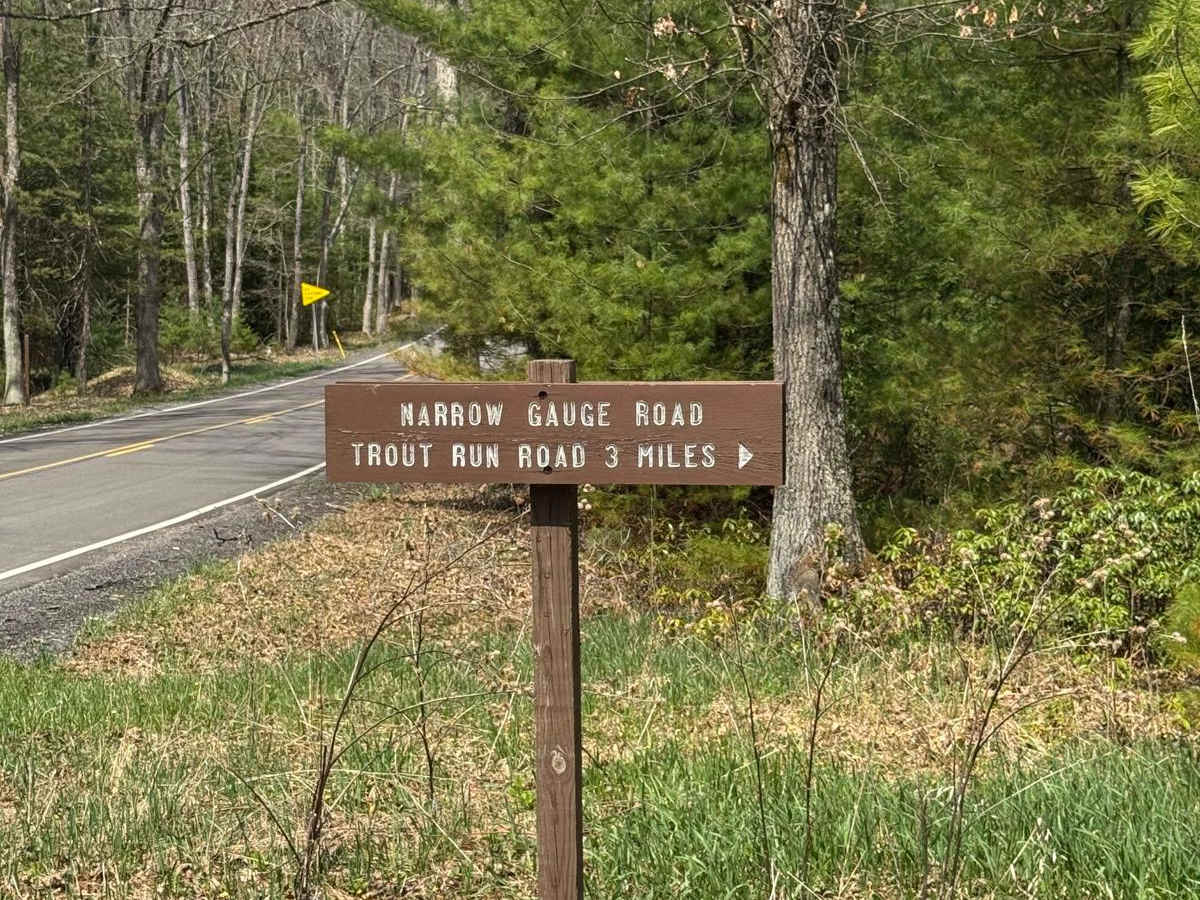 Narrow Gauge Road trail photo