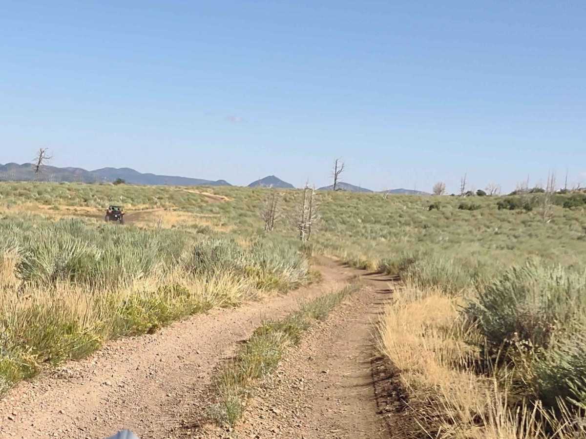 FS Trail #41020 photo 4