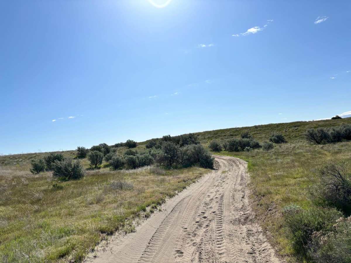 Wilderness Road photo 5