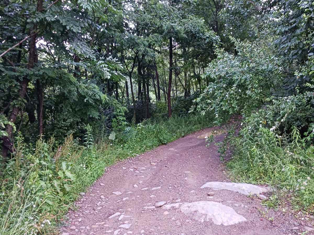 Trail 12J - Rock Run Recreation Area photo 4