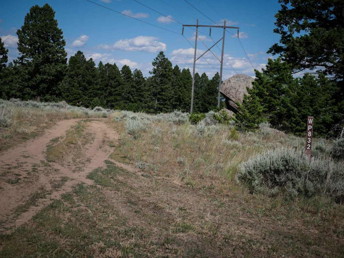 WP832 trail photo
