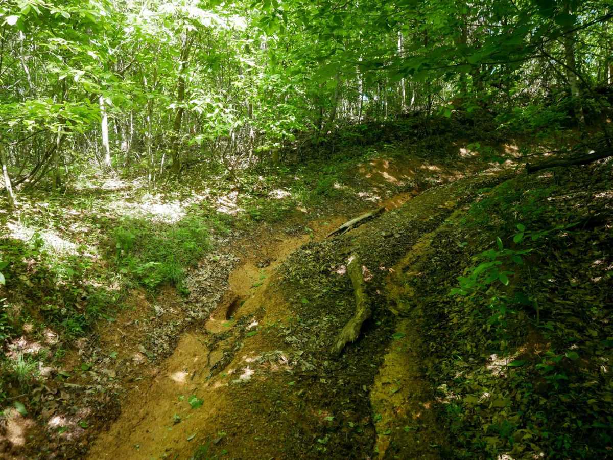 RV65 trail photo