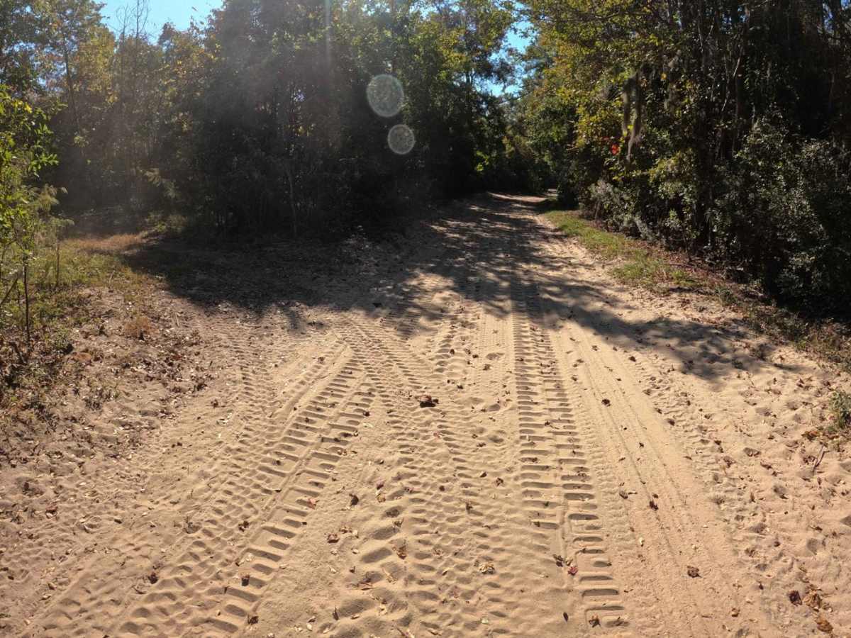 Skipper's Road photo 2