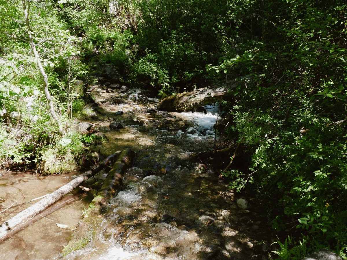 Hughes Creek photo 3