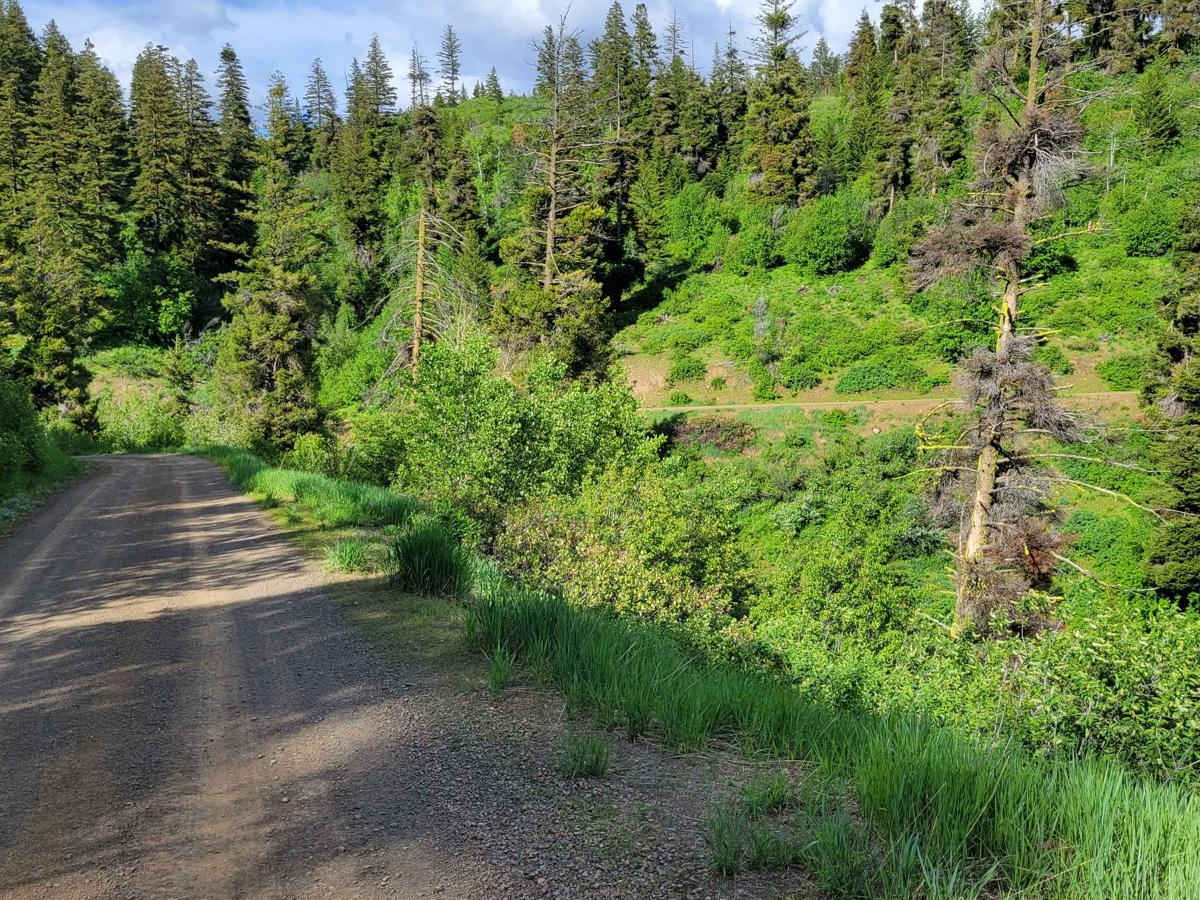 FR 024 - Fourth of July Creek photo 5
