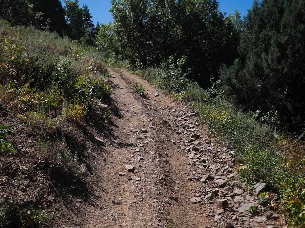 To-Wi-Da #3332 trail photo