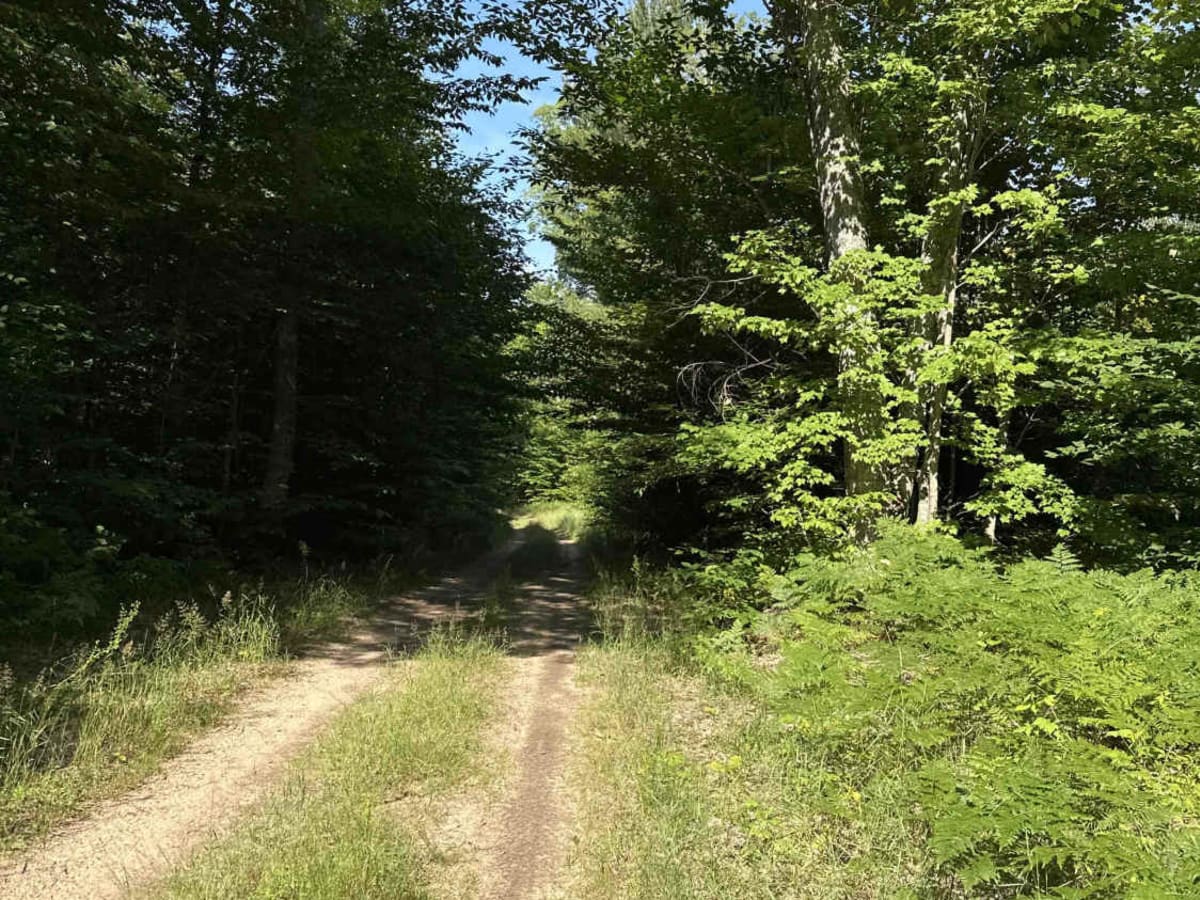 County Road 371 photo 2