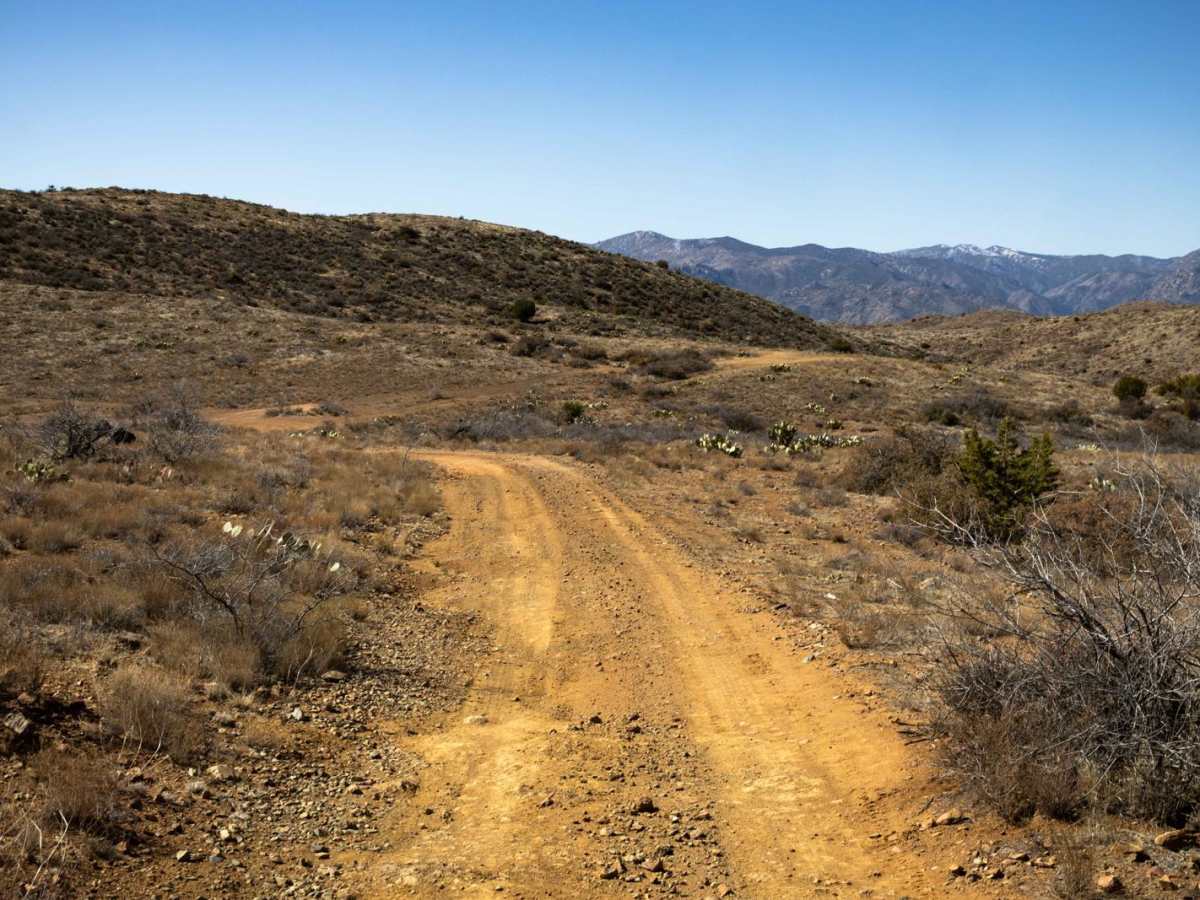 Creek to Peak photo 3