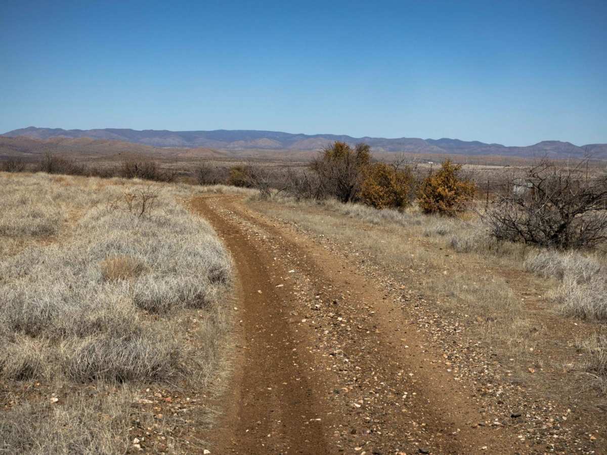 Backway to 69 photo 5