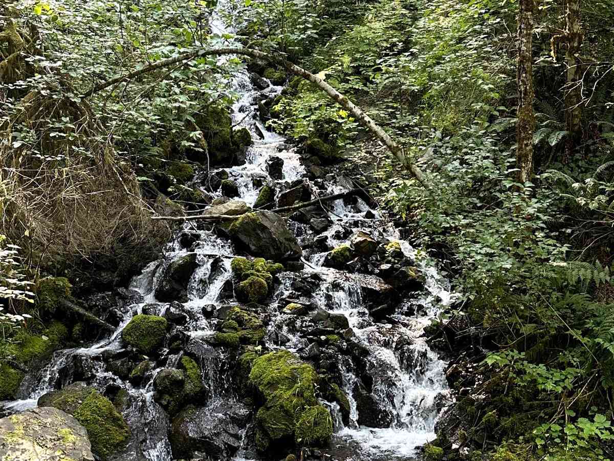 Glacier Creek Road photo 3