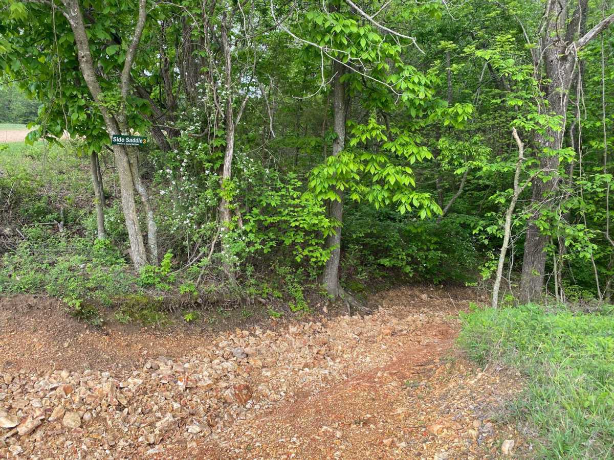 Side Saddle trail photo