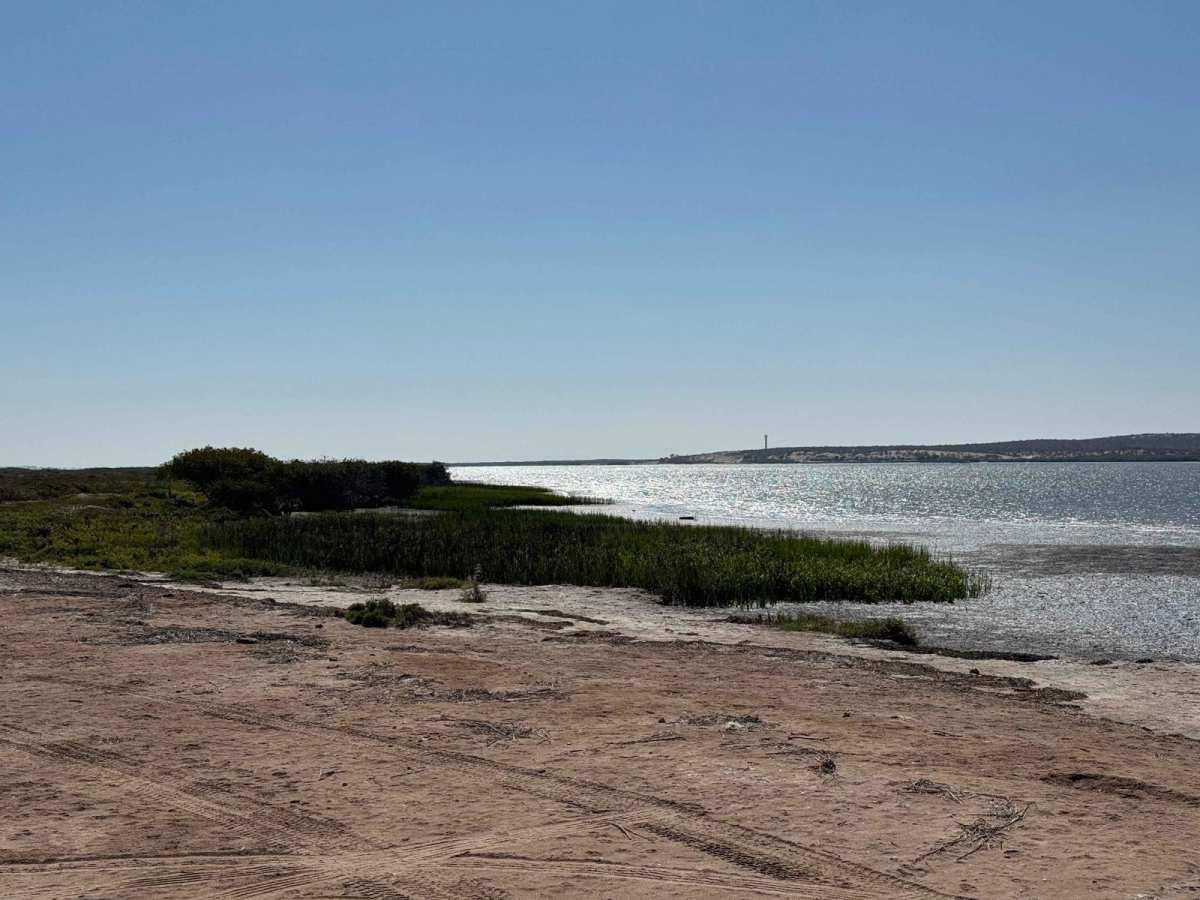 Estero Loop trail photo