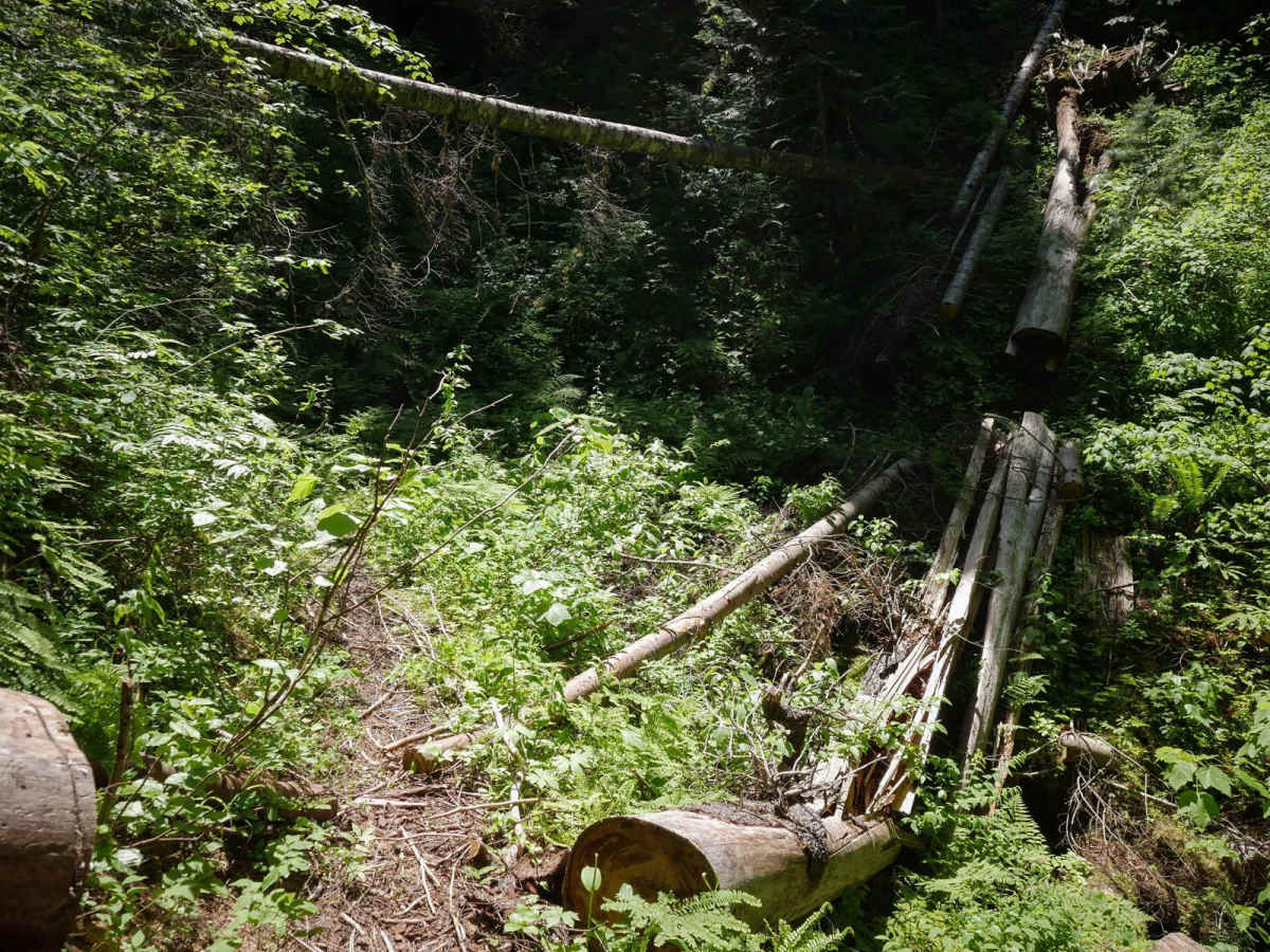 Cabin Point photo 2