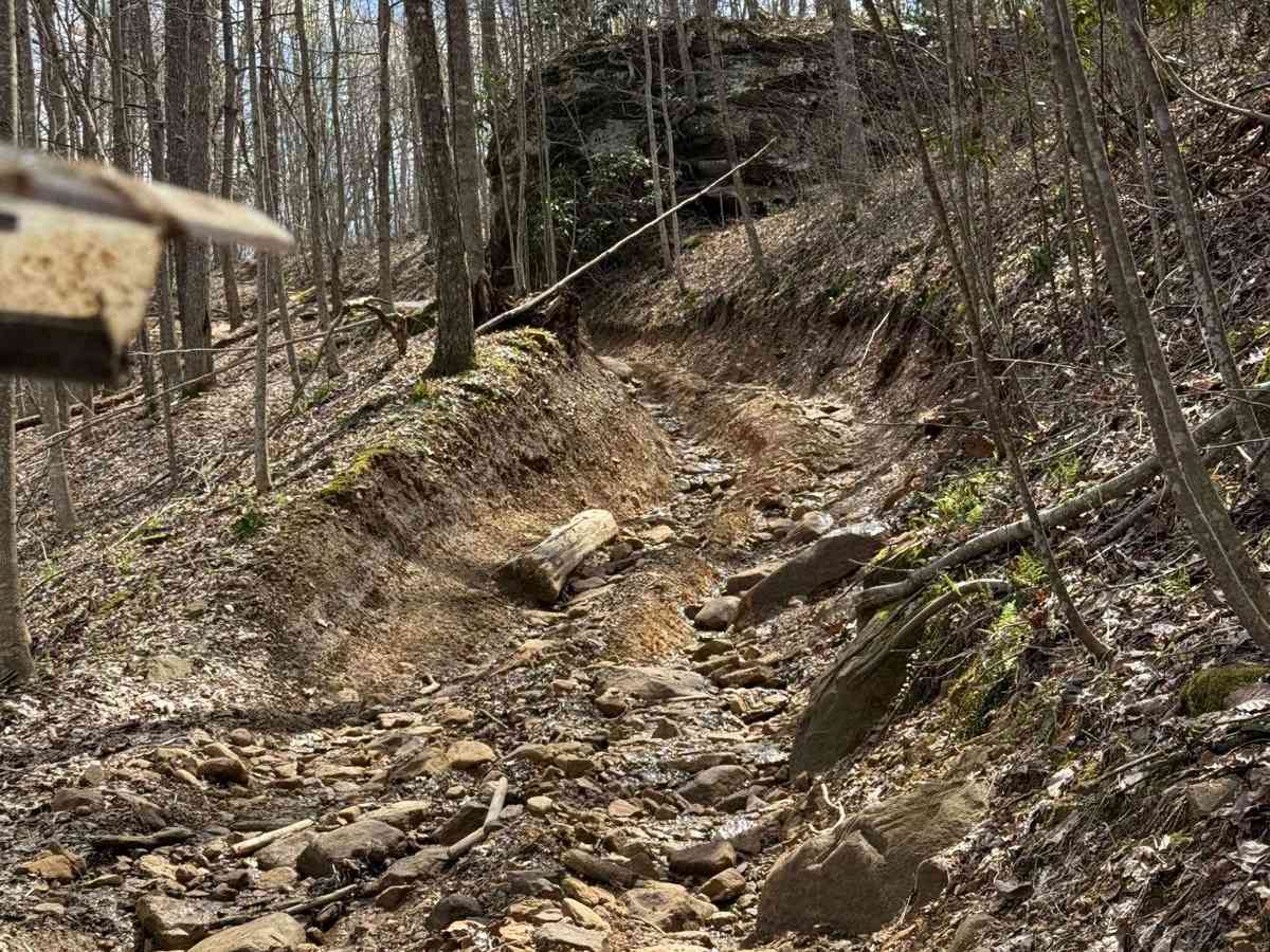 Trail 8 photo 4