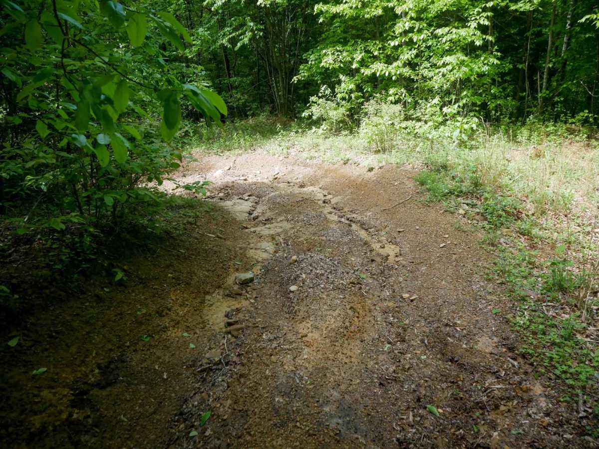 RV33 photo 5