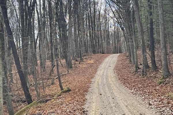 Jug Run to Girl Scout Camp