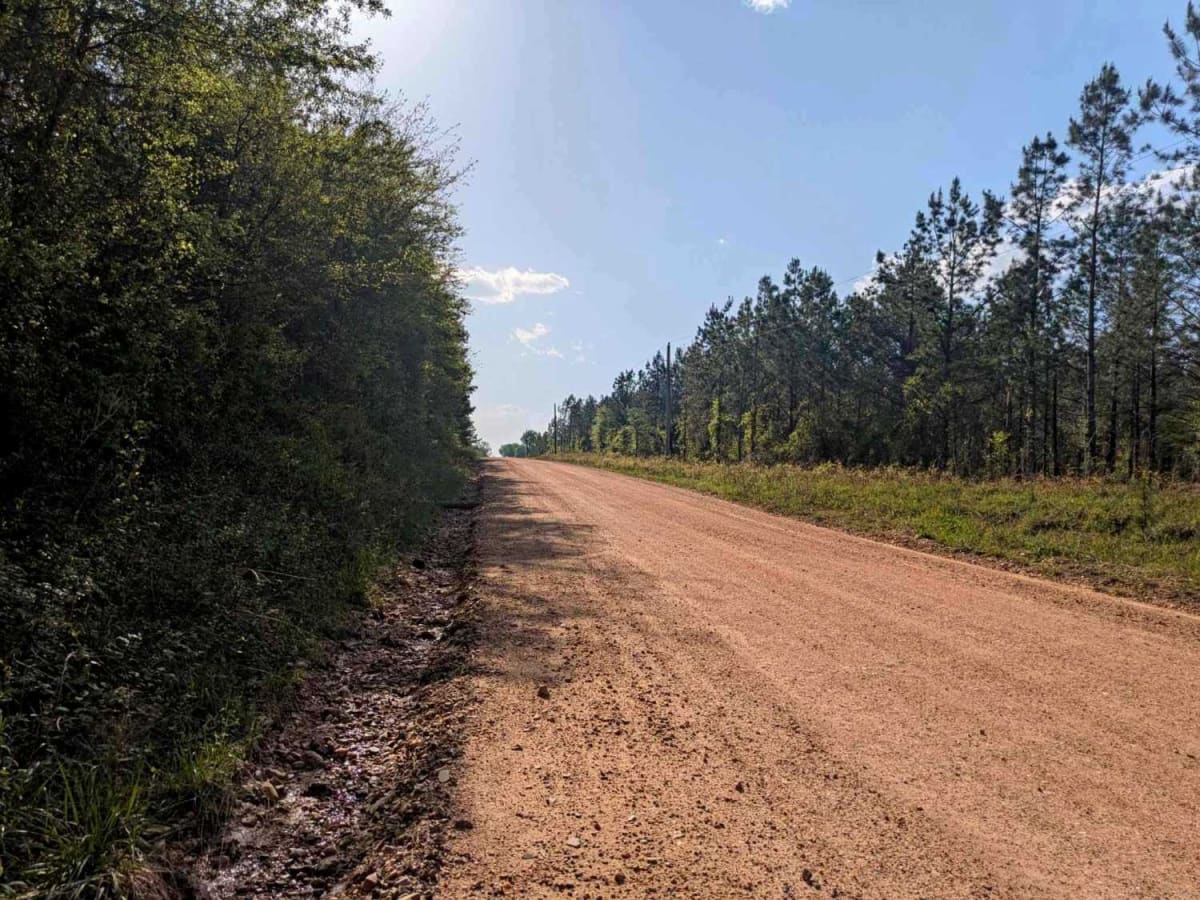 Skipjack Road photo 4