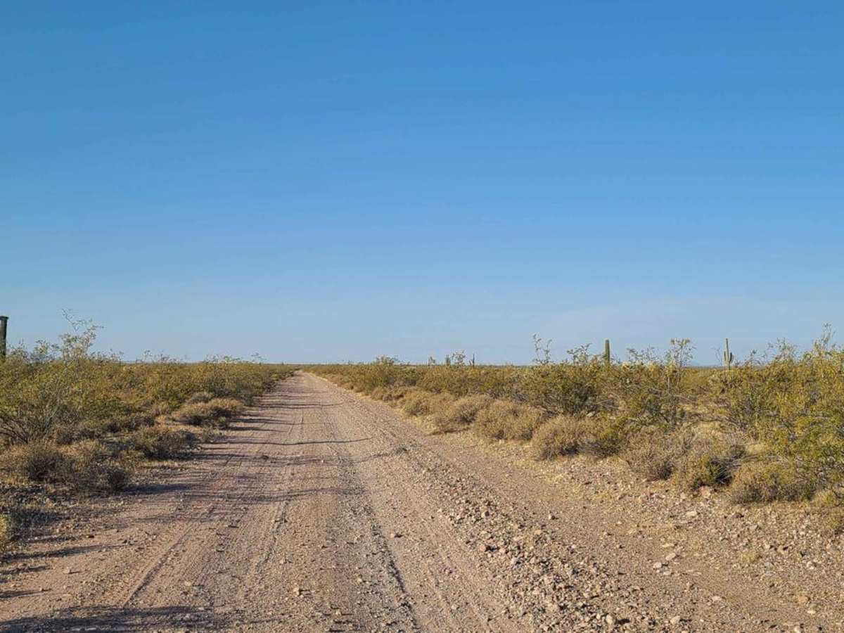 Ogden Road trail photo