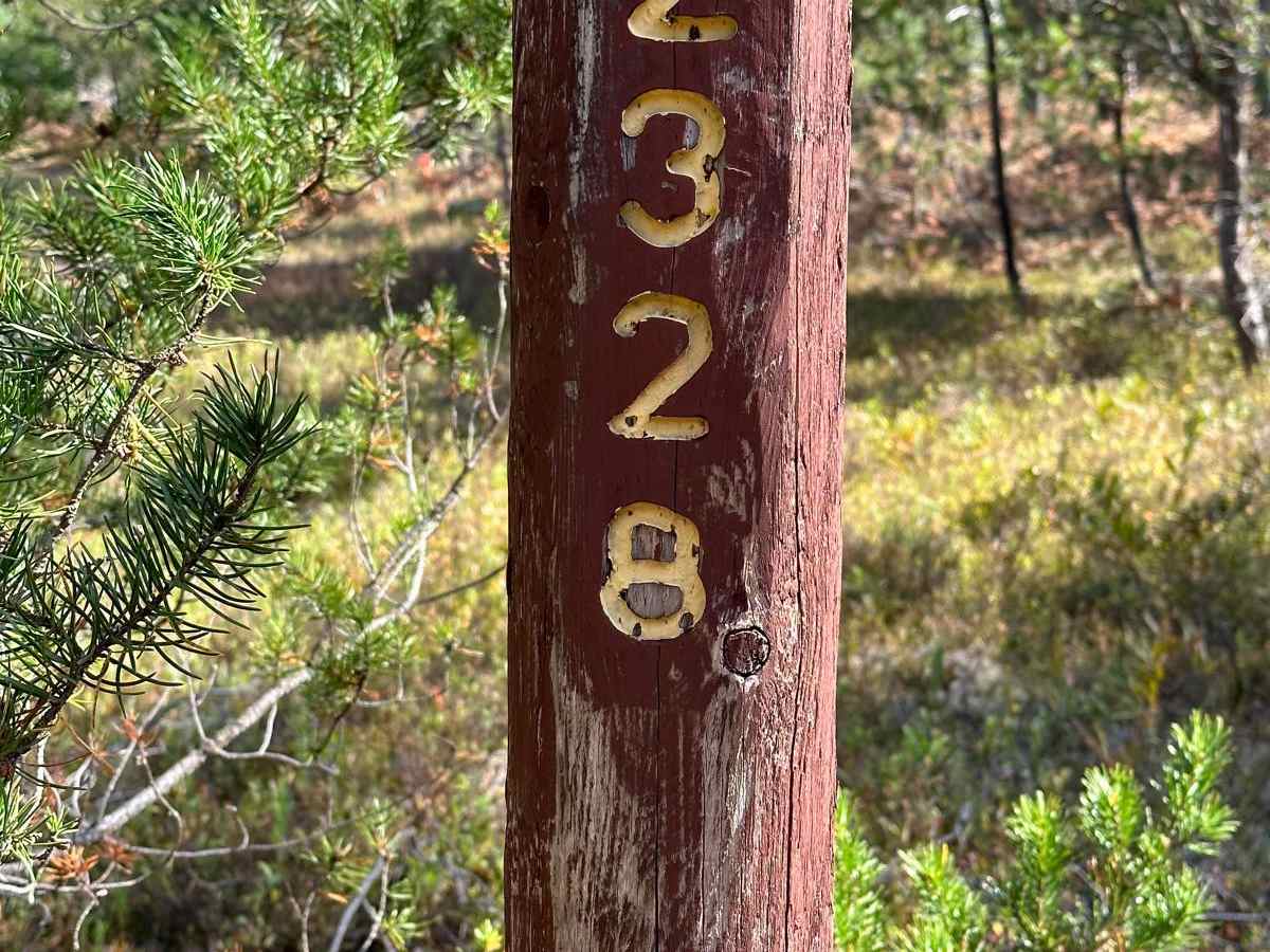 FS 2328 trail photo