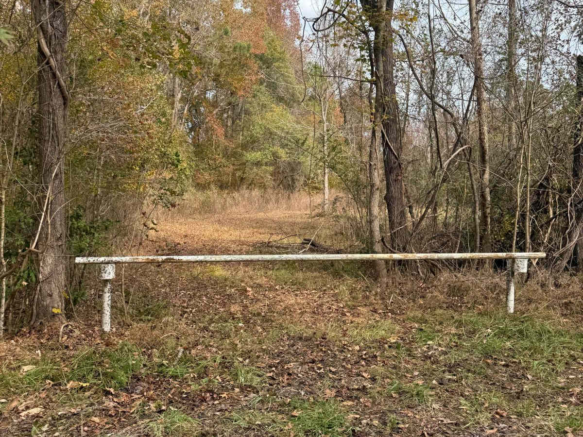 Morton Field photo 6