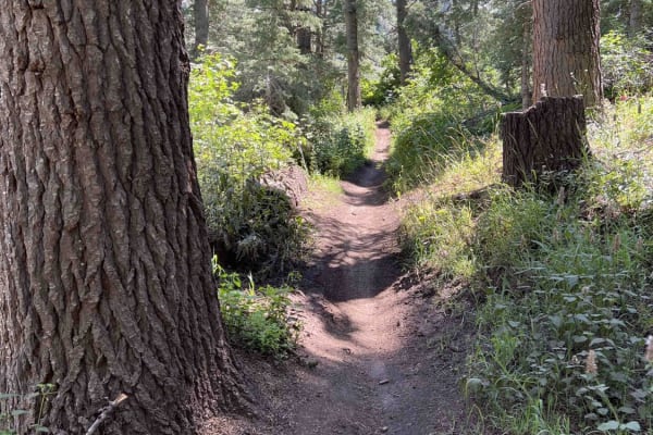 South Fork Little Deer Creek (2252)