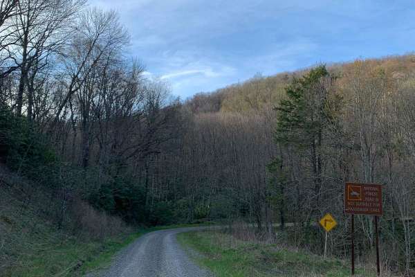 North River Rd to Upper Santeetlah - 81