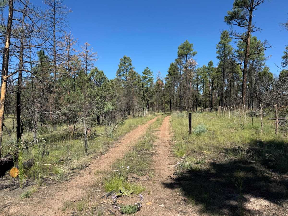 4073W trail photo
