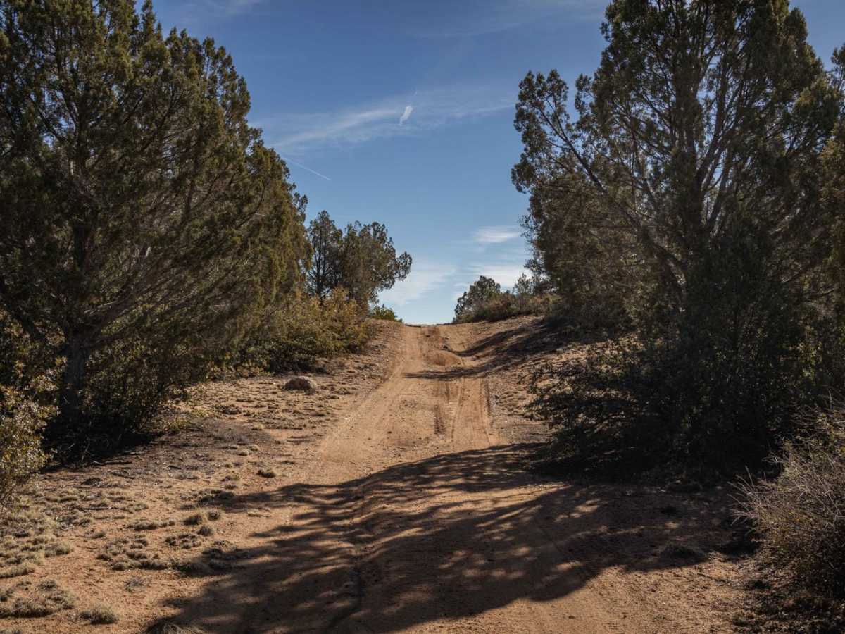 Strickland Wash photo 4