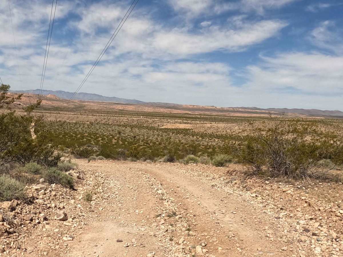 Powerline Road photo 2