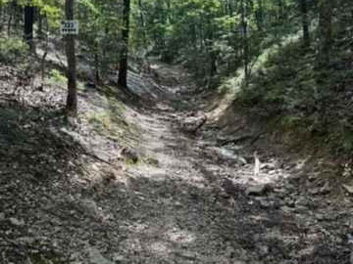 J23 trail photo