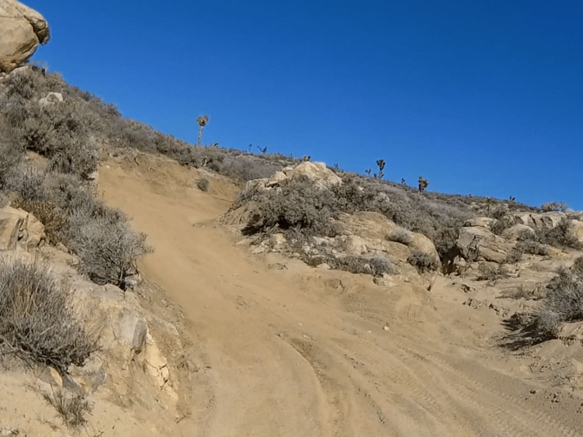 Alphie Springs Wash photo 4