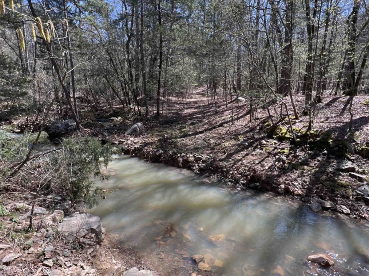 West Gafford 776 photo 4