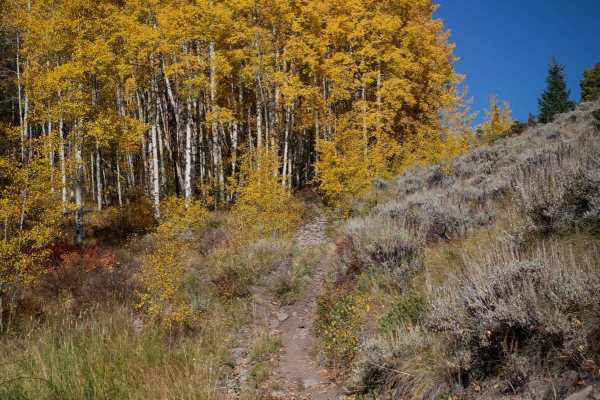Middle Barrett ATV Trail