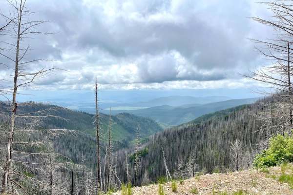 Morrell Mountain Lookout